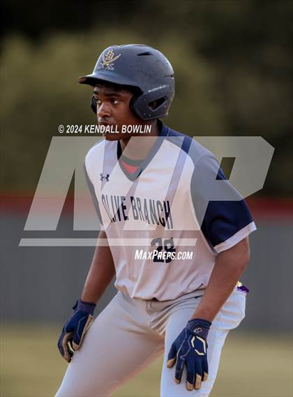 Thumbnail 2 in Olive Branch @ South Panola photogallery.