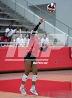 Photo from the gallery "Martin @ Marcus"
