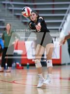 Photo from the gallery "Martin @ Marcus"