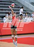 Photo from the gallery "Martin @ Marcus"