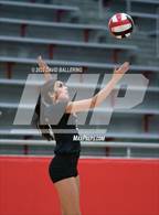 Photo from the gallery "Martin @ Marcus"