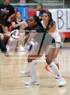 Photo from the gallery "Martin @ Marcus"