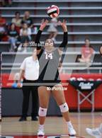 Photo from the gallery "Martin @ Marcus"
