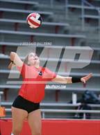 Photo from the gallery "Martin @ Marcus"