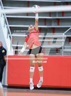 Photo from the gallery "Martin @ Marcus"