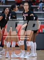 Photo from the gallery "Martin @ Marcus"
