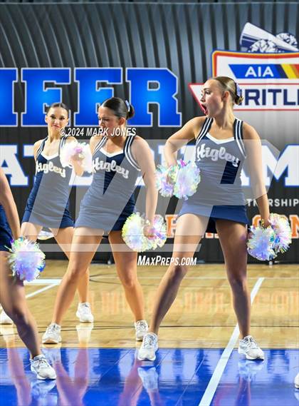 Thumbnail 1 in Higley - Dance Game Day Championships (AIA Division I) photogallery.