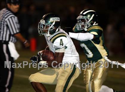 Thumbnail 2 in South Hills @ Damien photogallery.