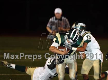 Thumbnail 3 in South Hills @ Damien photogallery.
