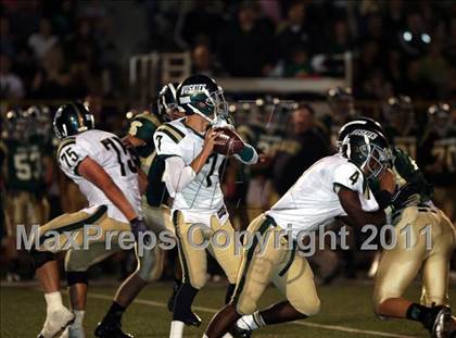 Thumbnail 3 in South Hills @ Damien photogallery.
