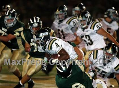 Thumbnail 3 in South Hills @ Damien photogallery.