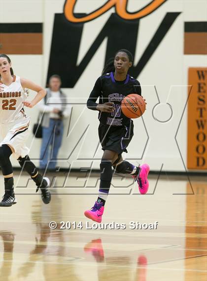 Thumbnail 3 in Cedar Ridge @ Round Rock Westwood photogallery.