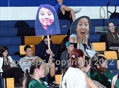 Thumbnail 1 in Schurr @ Alhambra photogallery.