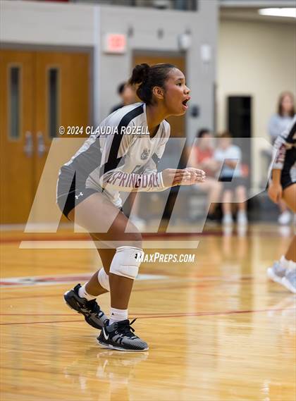 Thumbnail 3 in Springdale @ Farmington photogallery.