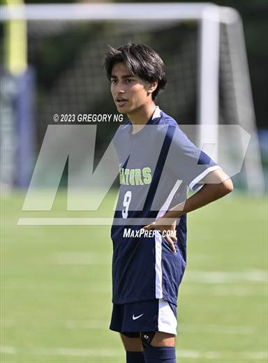 null - Photo 21