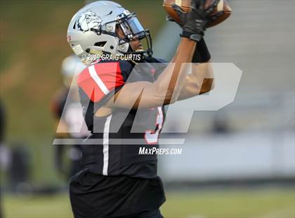 Thumbnail 1 in Hickory Ridge @ David W. Butler photogallery.
