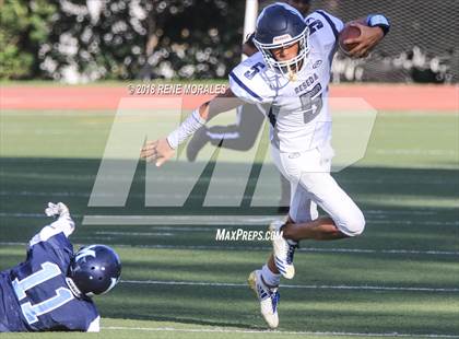 Thumbnail 1 in Reseda @ Marshall photogallery.