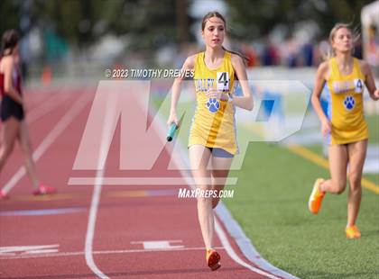 Thumbnail 3 in Robert Spagna LTC Championships photogallery.