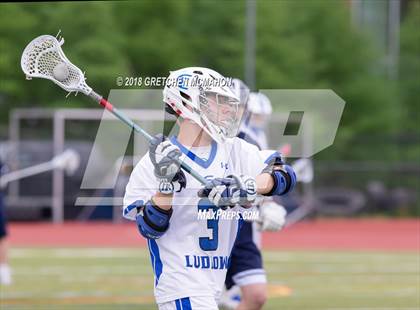 Thumbnail 3 in Wilton @ Ludlowe photogallery.