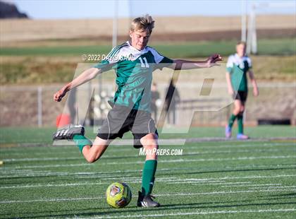Thumbnail 2 in Elizabeth @ Falcon photogallery.