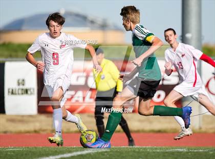 Thumbnail 1 in Elizabeth @ Falcon photogallery.