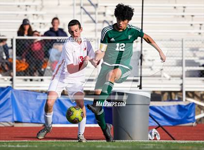 Thumbnail 3 in Elizabeth @ Falcon photogallery.