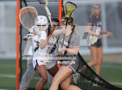 Thumbnail 2 in Golden @ Chatfield photogallery.