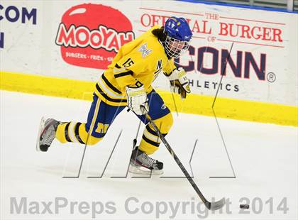 Thumbnail 1 in Newington/Berlin @ Smith/Tolland/Windham photogallery.
