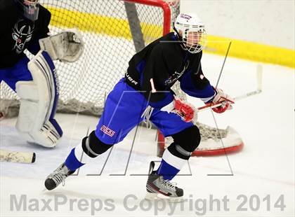 Thumbnail 1 in Newington/Berlin @ Smith/Tolland/Windham photogallery.