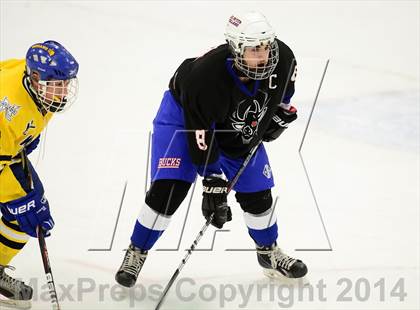 Thumbnail 2 in Newington/Berlin @ Smith/Tolland/Windham photogallery.