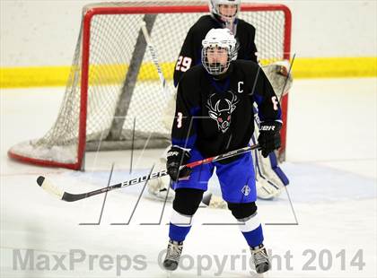 Thumbnail 3 in Newington/Berlin @ Smith/Tolland/Windham photogallery.
