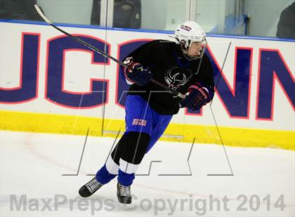 Thumbnail 2 in Newington/Berlin @ Smith/Tolland/Windham photogallery.