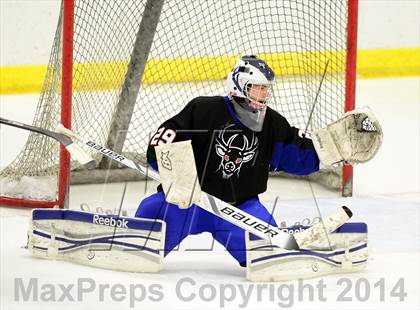 Thumbnail 1 in Newington/Berlin @ Smith/Tolland/Windham photogallery.
