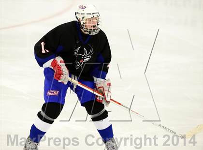 Thumbnail 1 in Newington/Berlin @ Smith/Tolland/Windham photogallery.