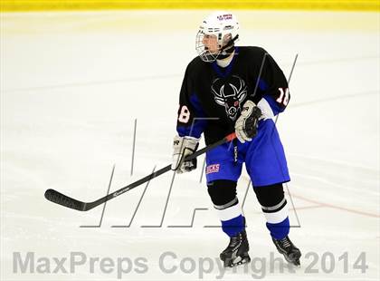 Thumbnail 1 in Newington/Berlin @ Smith/Tolland/Windham photogallery.