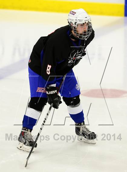 Thumbnail 3 in Newington/Berlin @ Smith/Tolland/Windham photogallery.