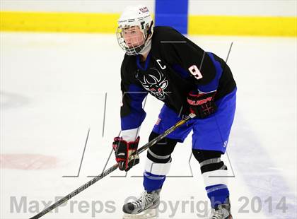 Thumbnail 1 in Newington/Berlin @ Smith/Tolland/Windham photogallery.