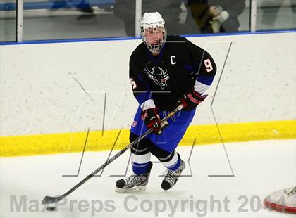 Thumbnail 3 in Newington/Berlin @ Smith/Tolland/Windham photogallery.