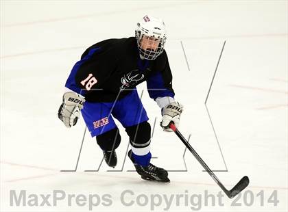 Thumbnail 2 in Newington/Berlin @ Smith/Tolland/Windham photogallery.