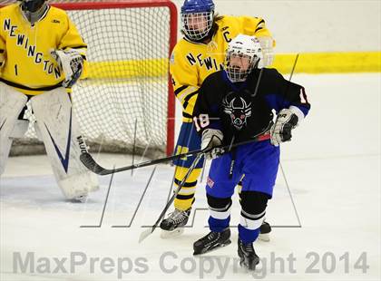 Thumbnail 1 in Newington/Berlin @ Smith/Tolland/Windham photogallery.