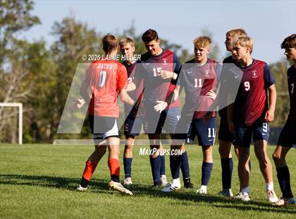 Thumbnail 3 in Buffalo @ Bemidji photogallery.