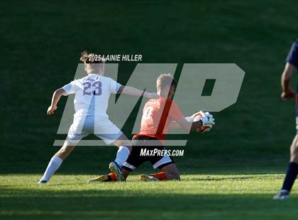 Thumbnail 1 in Buffalo @ Bemidji photogallery.