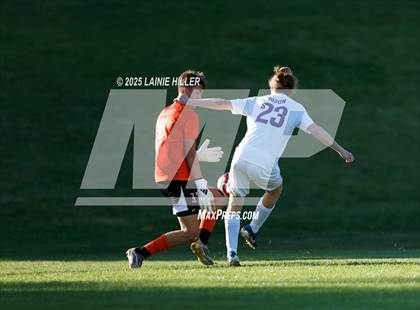 Thumbnail 3 in Buffalo @ Bemidji photogallery.