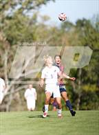 Photo from the gallery "Buffalo @ Bemidji"