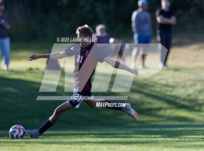 Thumbnail 3 in Buffalo @ Bemidji photogallery.
