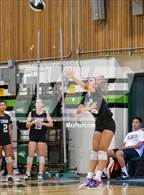 Photo from the gallery "James Logan @ Mission San Jose"