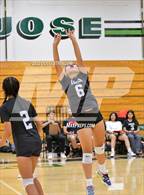 Photo from the gallery "James Logan @ Mission San Jose"