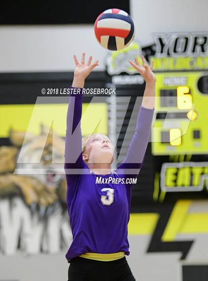 Thumbnail 2 in Palacios vs Thrall (Yorktown South Texas Showdown) photogallery.