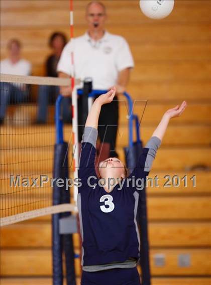 Thumbnail 3 in Columbine @ Cherokee Trail photogallery.
