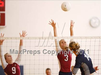 Thumbnail 3 in Columbine @ Cherokee Trail photogallery.